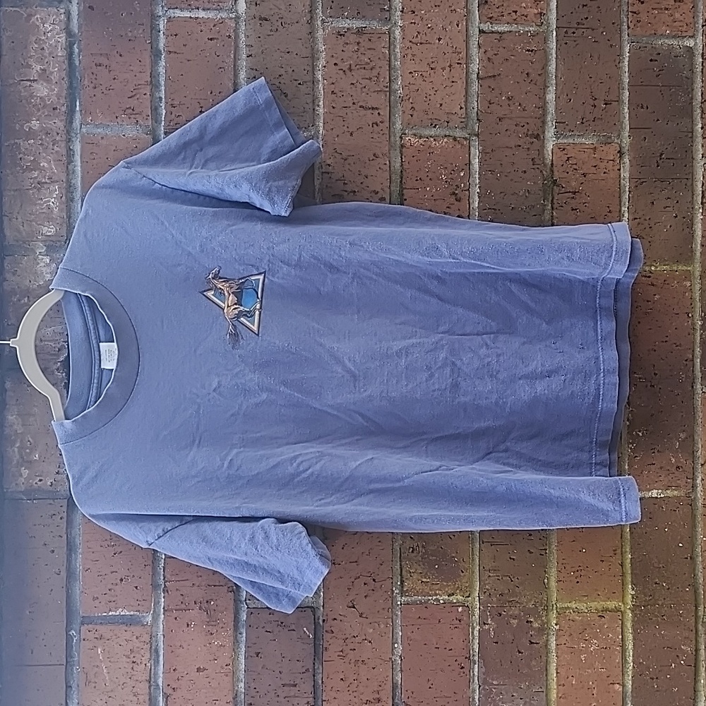 Horse graphic tee, Large, Blue